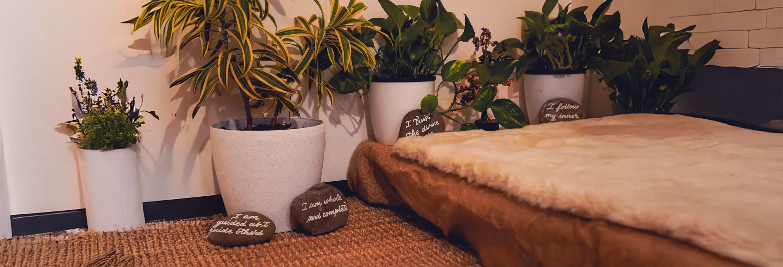 Collage of ZenSpace installations across corporate, hospitality, residential, and athletic settings